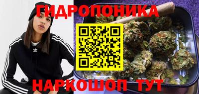 прущие грибы Гагарин