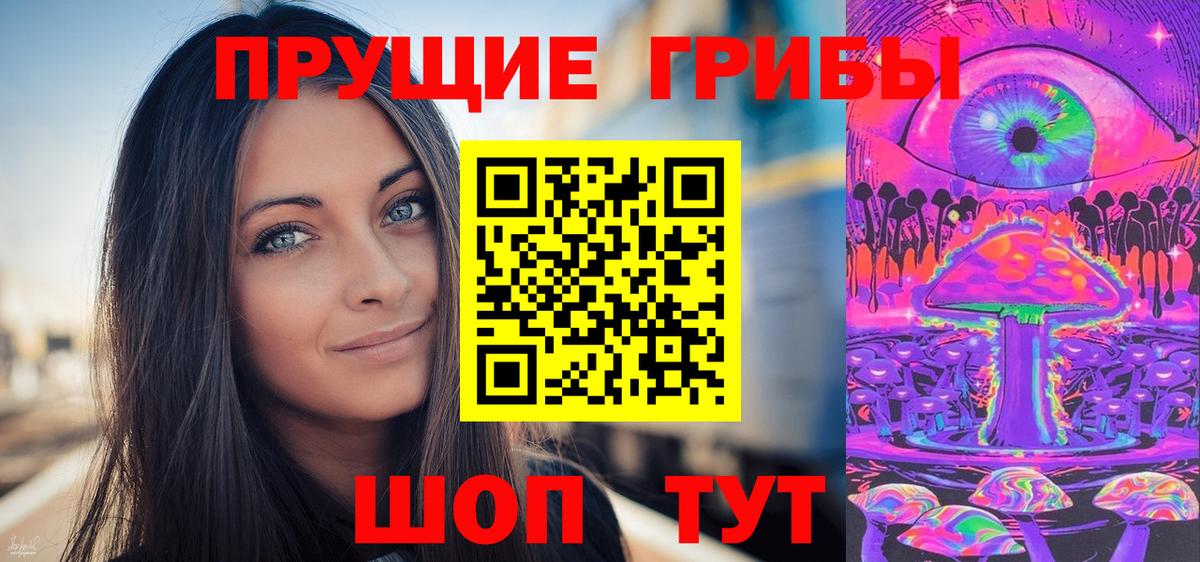 Галлюциногенные грибы Psilocybine cubensis Нальчик