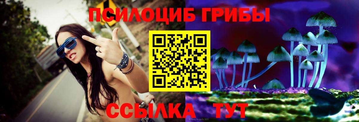 Галлюциногенные грибы ЛСД  где найти наркотики  Нальчик  Вход с VPN 